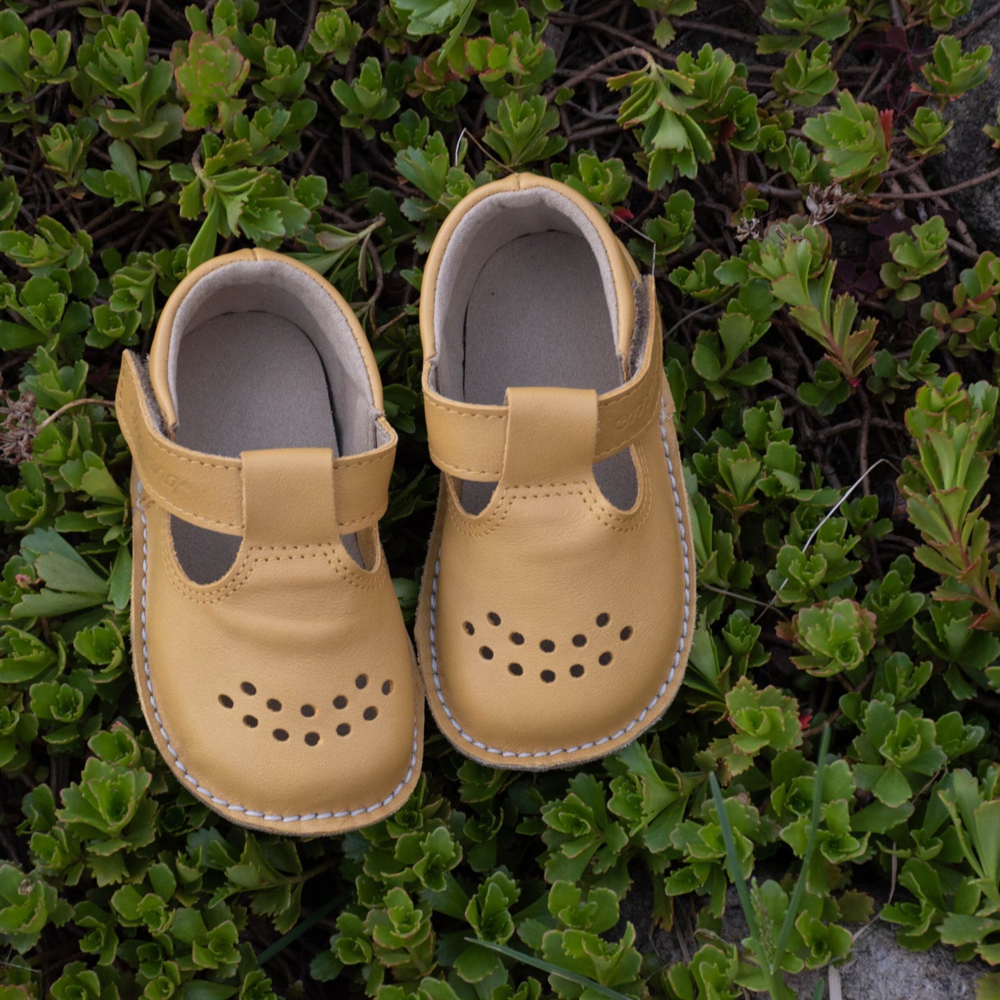 OmaKing - Lusti Yellow - zapatitos barefoot infantiles