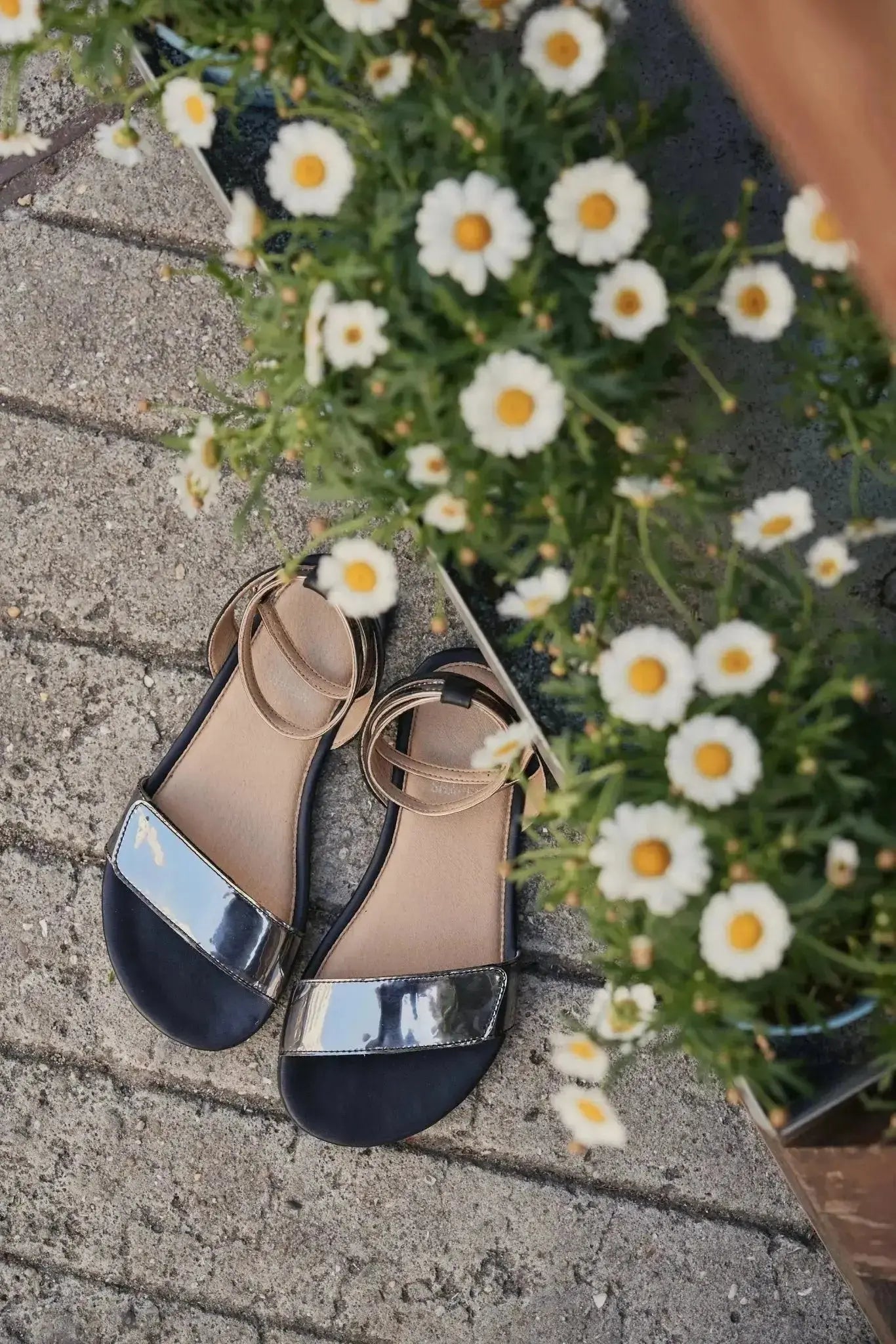 Shapen - Daisy 2.0 Black - Sandalias barefoot