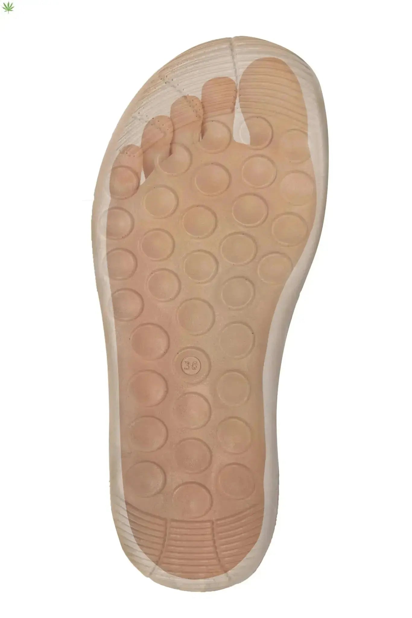 * PLANTILLA PRODUCTO