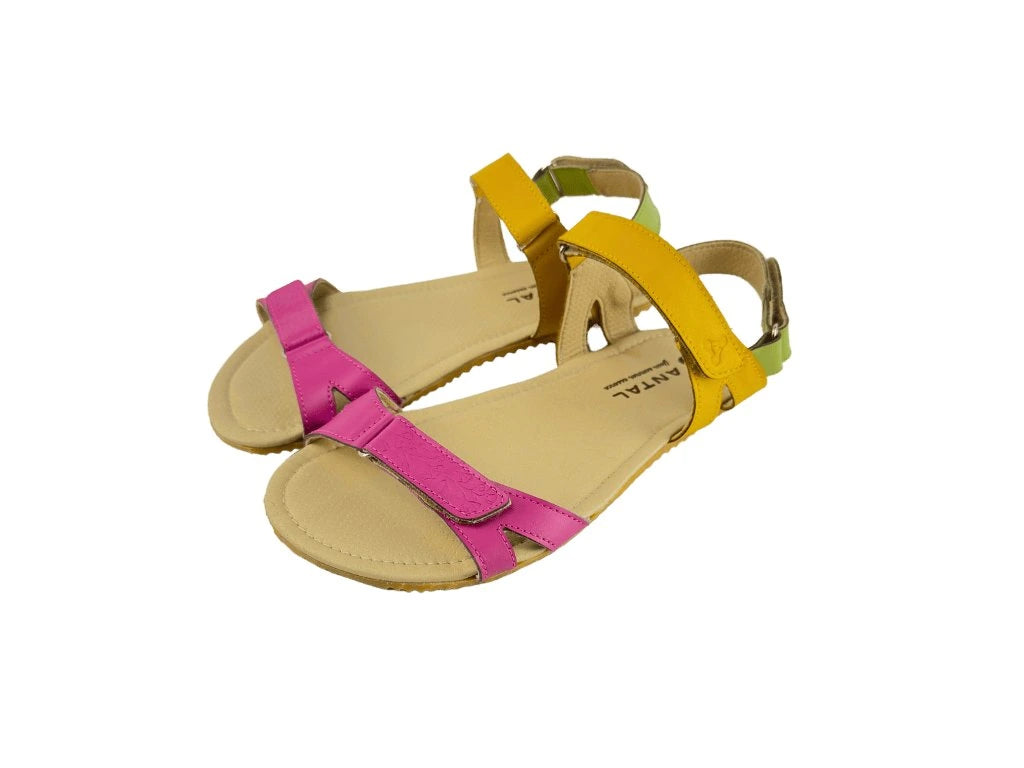 Antal - Alondra Carnival - Sandalias barefoot