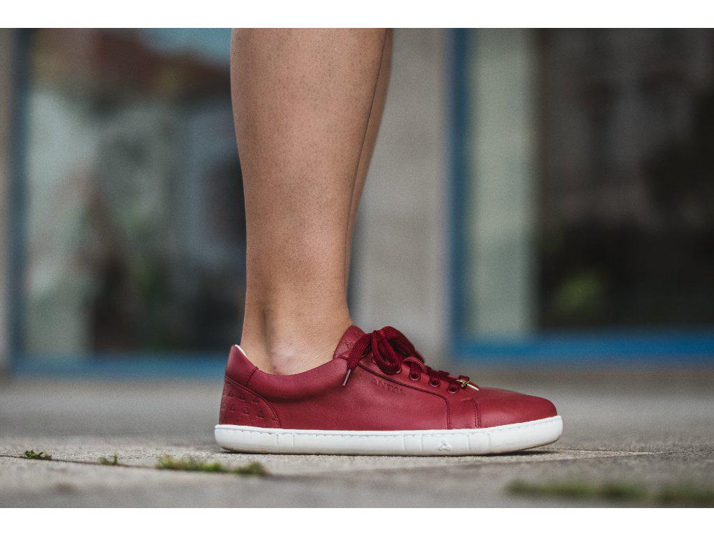 Antal - Amada Wine Red - Deportivas barefoot-Antal-Cacles Barefoot-Tienda de calzado barefoot respetuoso minimalista