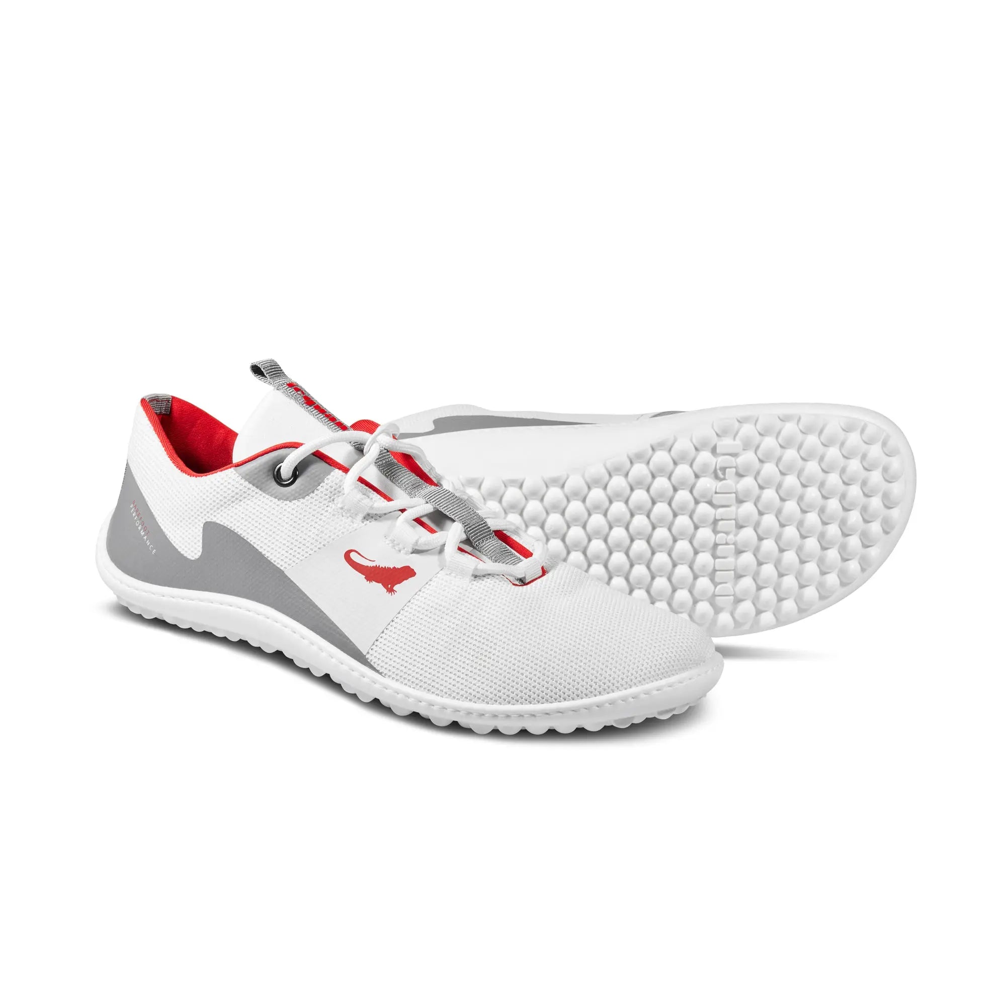 Leguano - Spinwyn White - Chaussures Barefoot Entraînement et Sports d'Intérieur