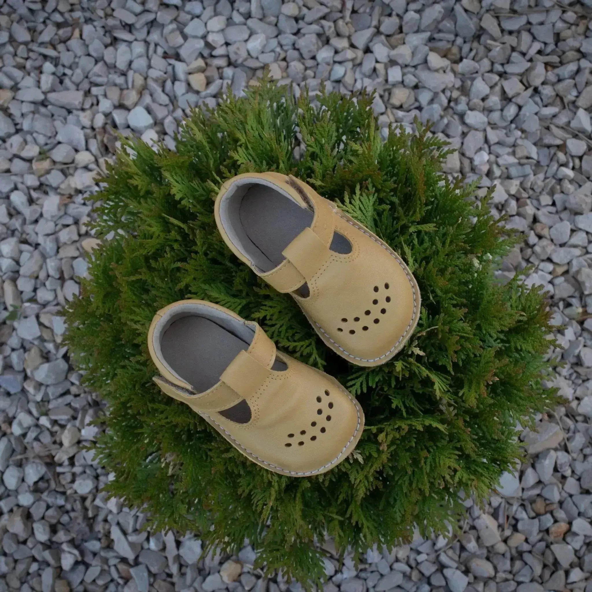 OmaKing - Lusti Yellow - zapatitos barefoot infantiles