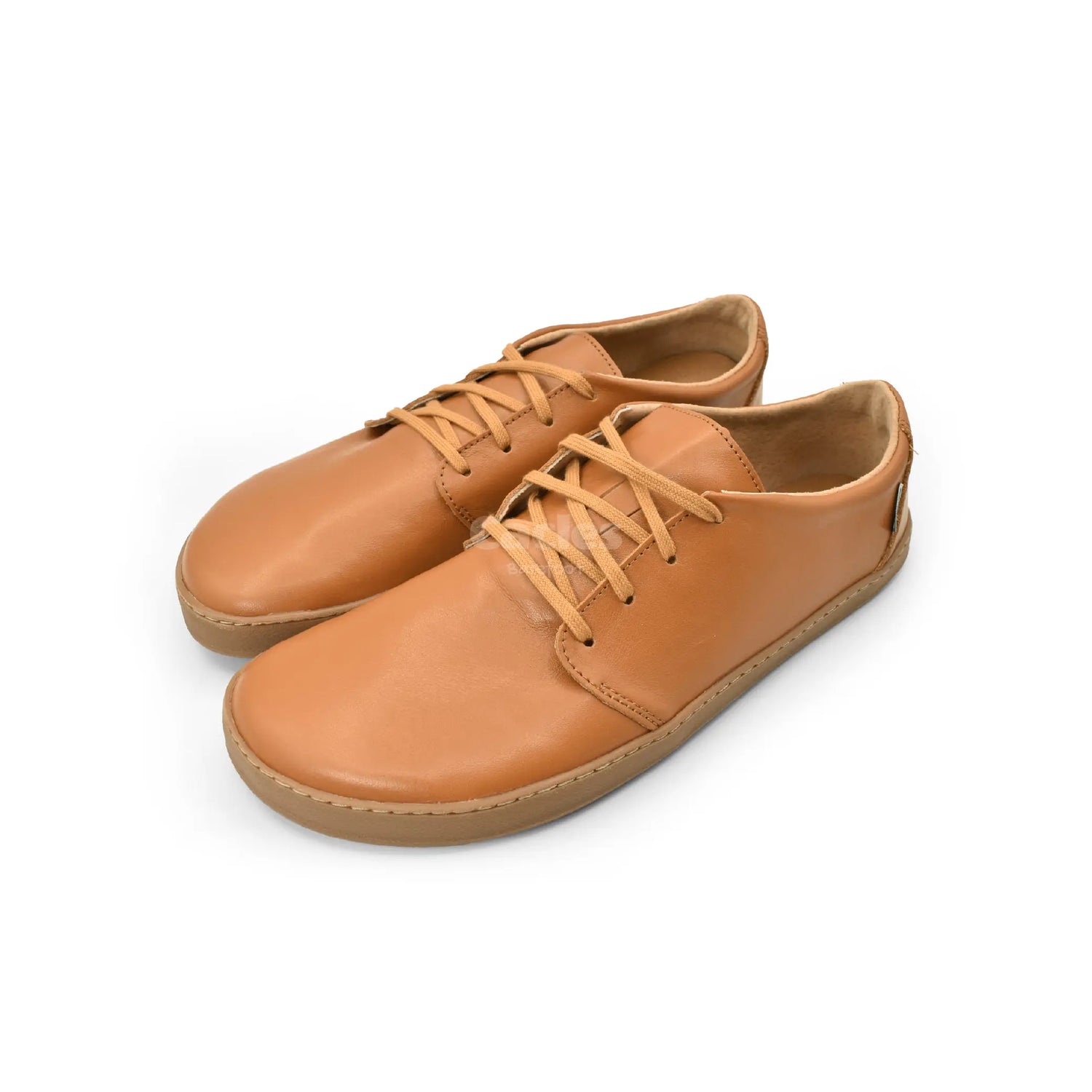 Pegres - BF81 0.1 brown - zapatos minimalistas adulto-Pegres-Cacles Barefoot-Tienda de calzado barefoot respetuoso minimalista
