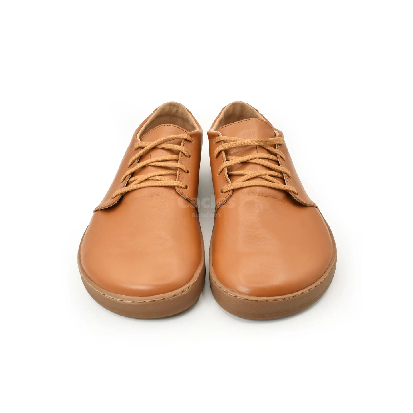 Pegres - BF81 0.1 brown - zapatos minimalistas adulto-Pegres-Cacles Barefoot-Tienda de calzado barefoot respetuoso minimalista