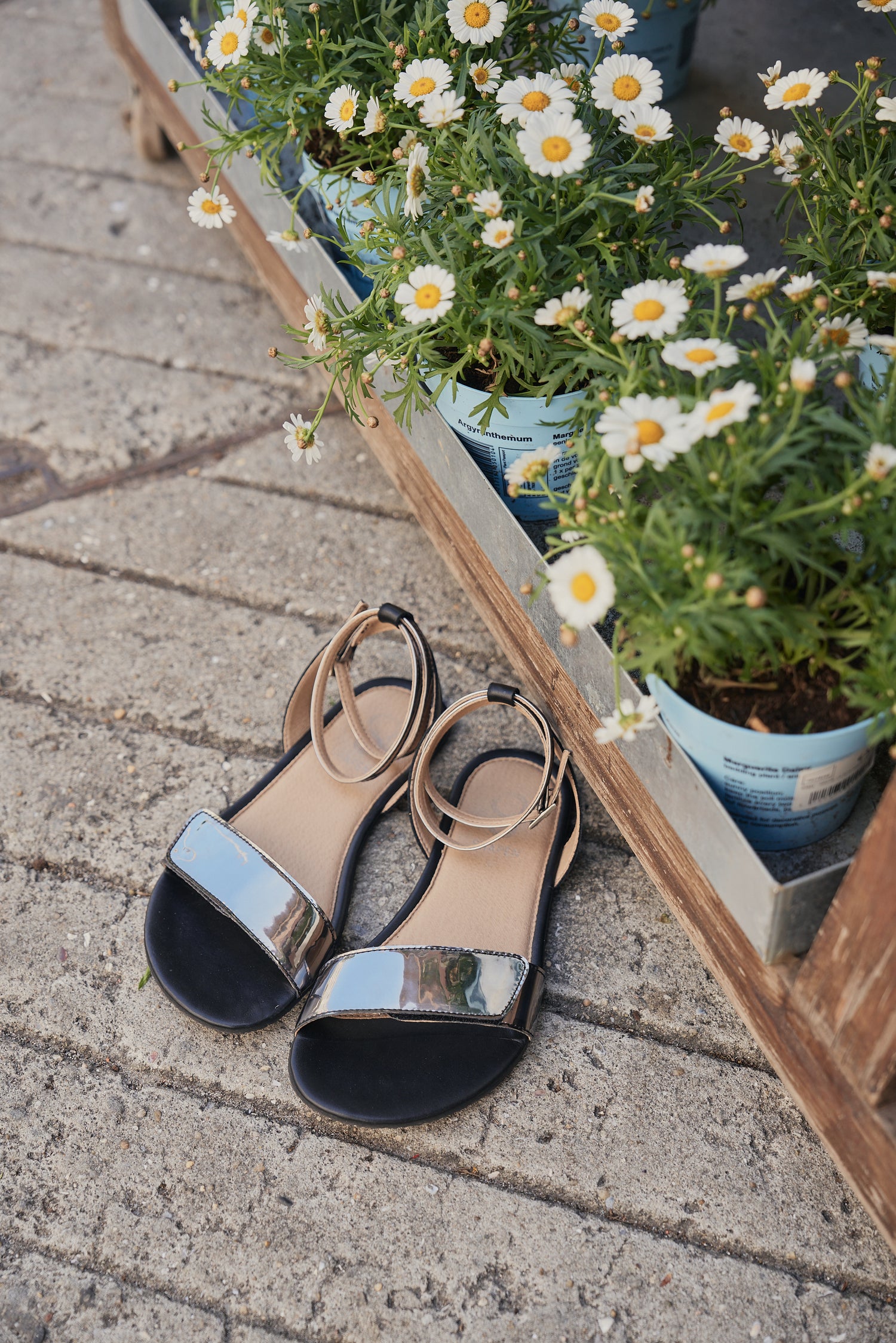 Shapen - Daisy 2.0 Black - Sandalias barefoot