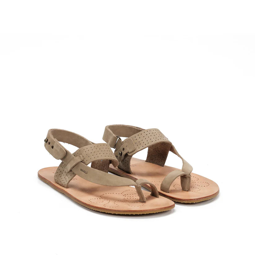 WAALS - Masai II Taupe - Sandalias barefoot hombre