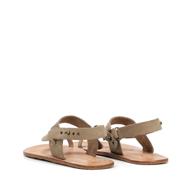 WAALS - Masai II Taupe - Sandalias barefoot hombre