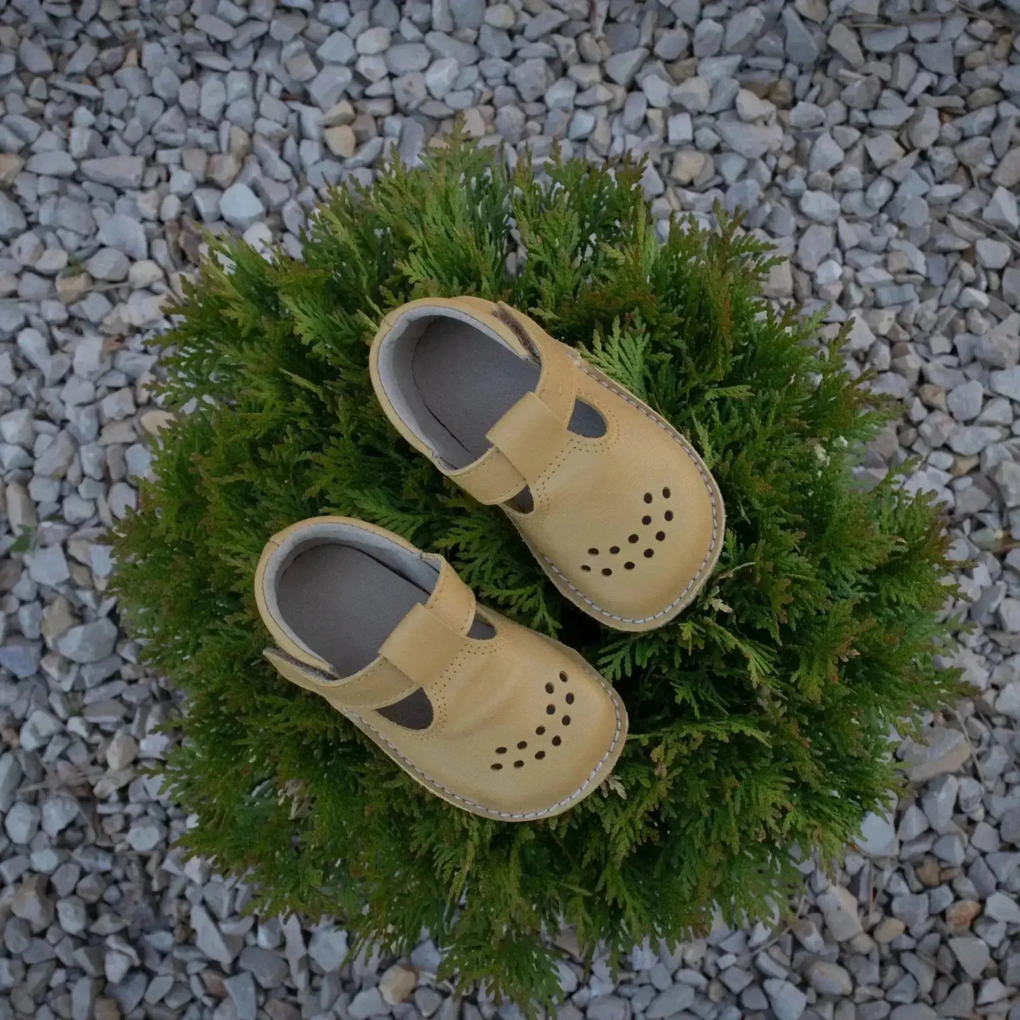 OmaKing - Lusti Yellow - zapatitos respetuosos de primeros pasos amarillo