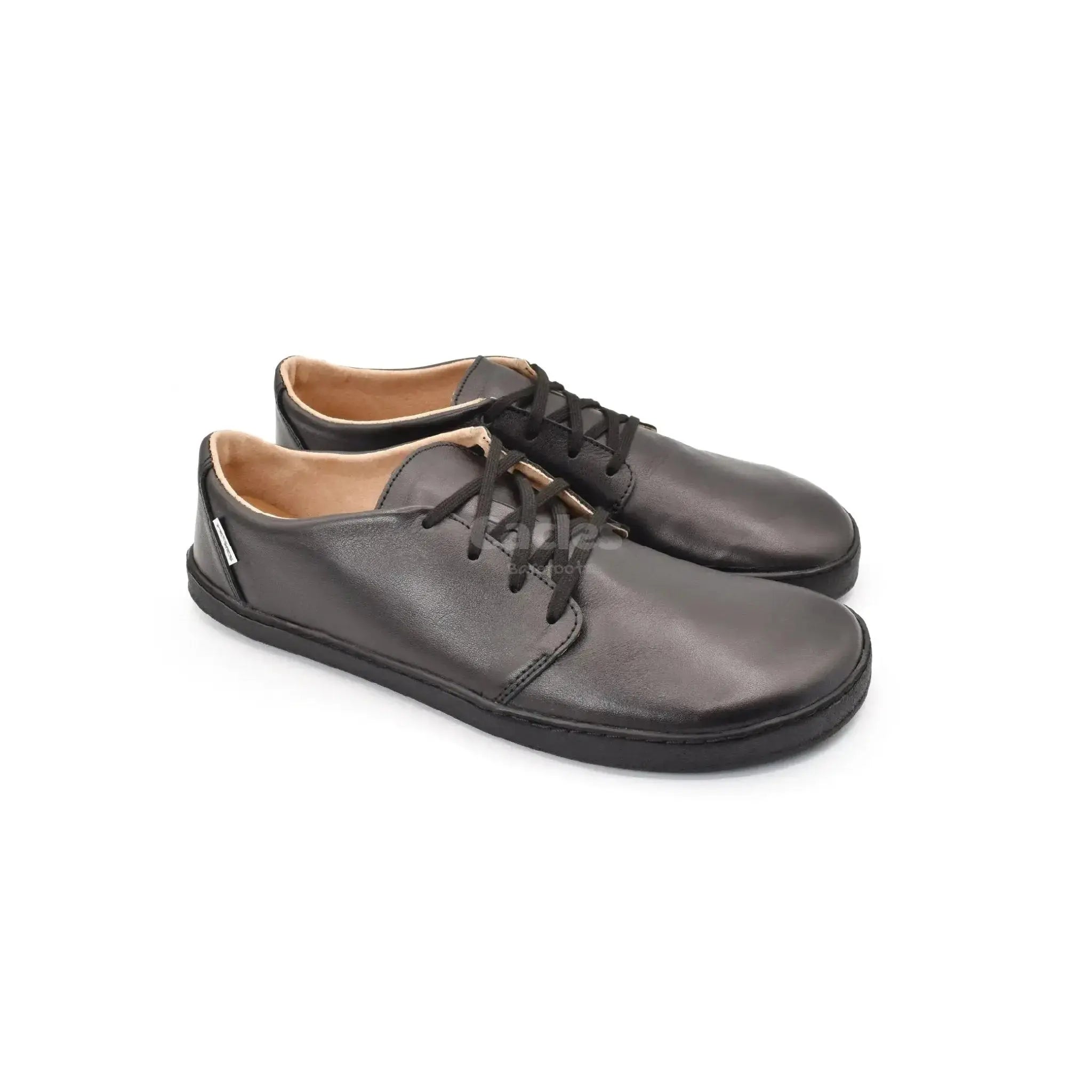 Pegres - BF81 0.1 noir - chaussures minimalistes adulte