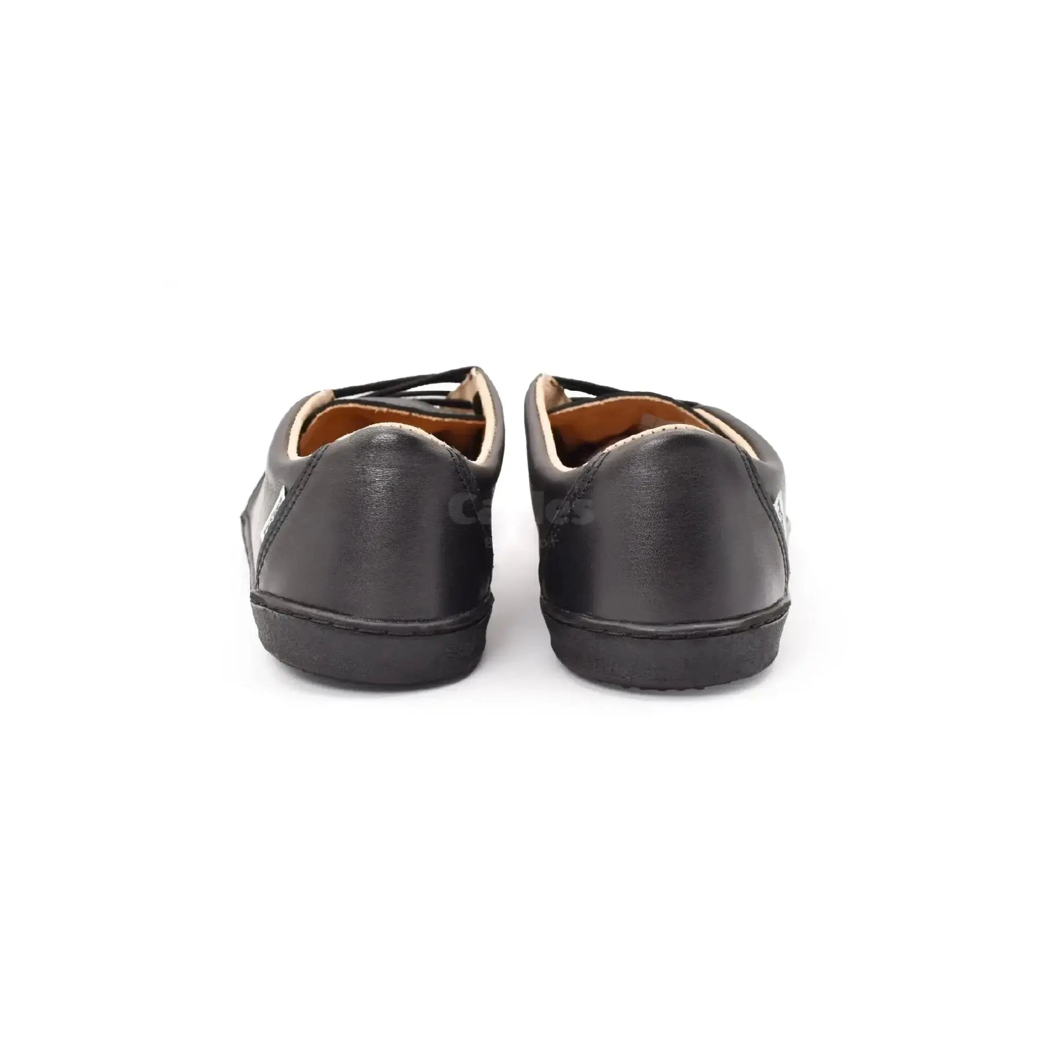 Pegres - BF81 0.1 noir - chaussures minimalistes adulte
