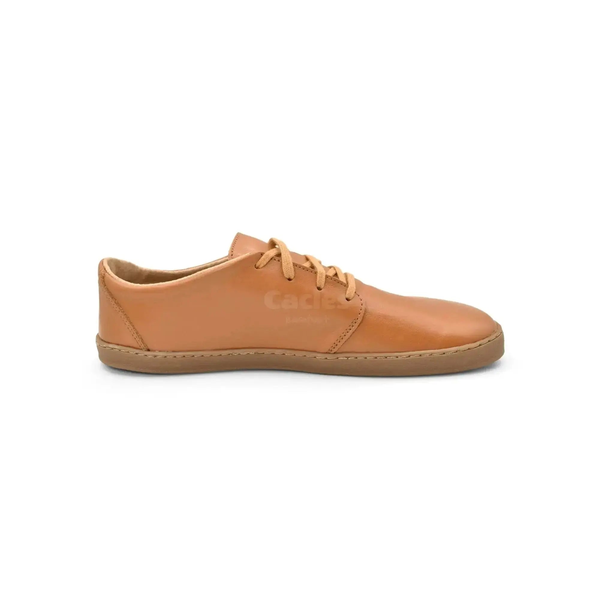 Pegres - BF81 0.1 marron - chaussures minimalistes adulte
