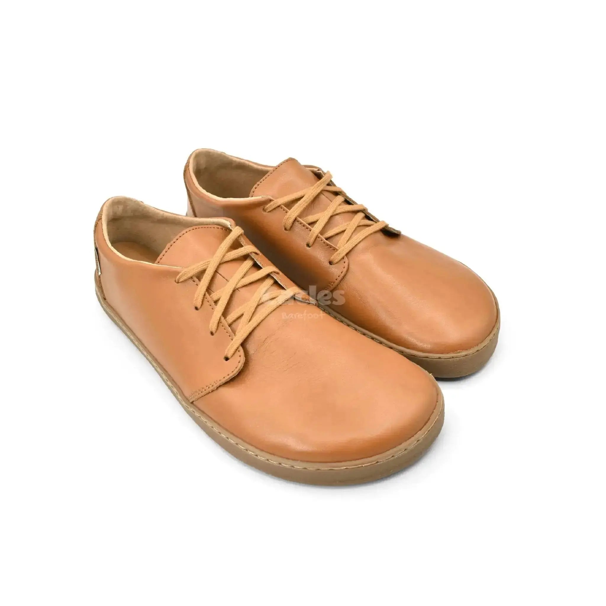 Pegres - BF81 0.1 marron - chaussures minimalistes adulte