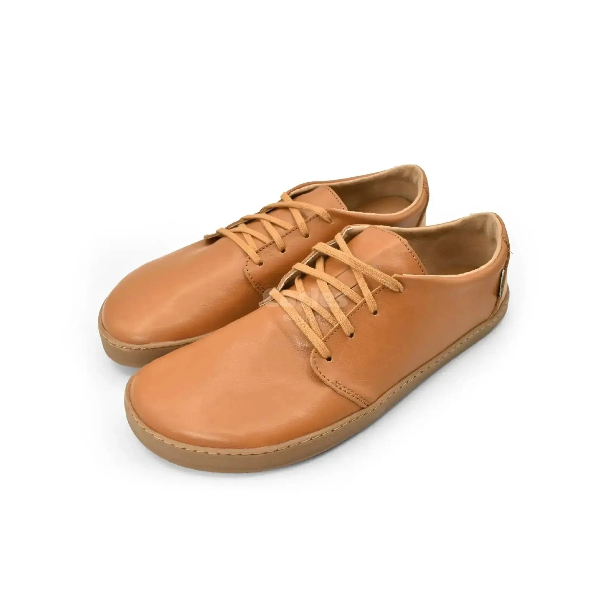 Pegres - BF81 0.1 marron - chaussures minimalistes adulte