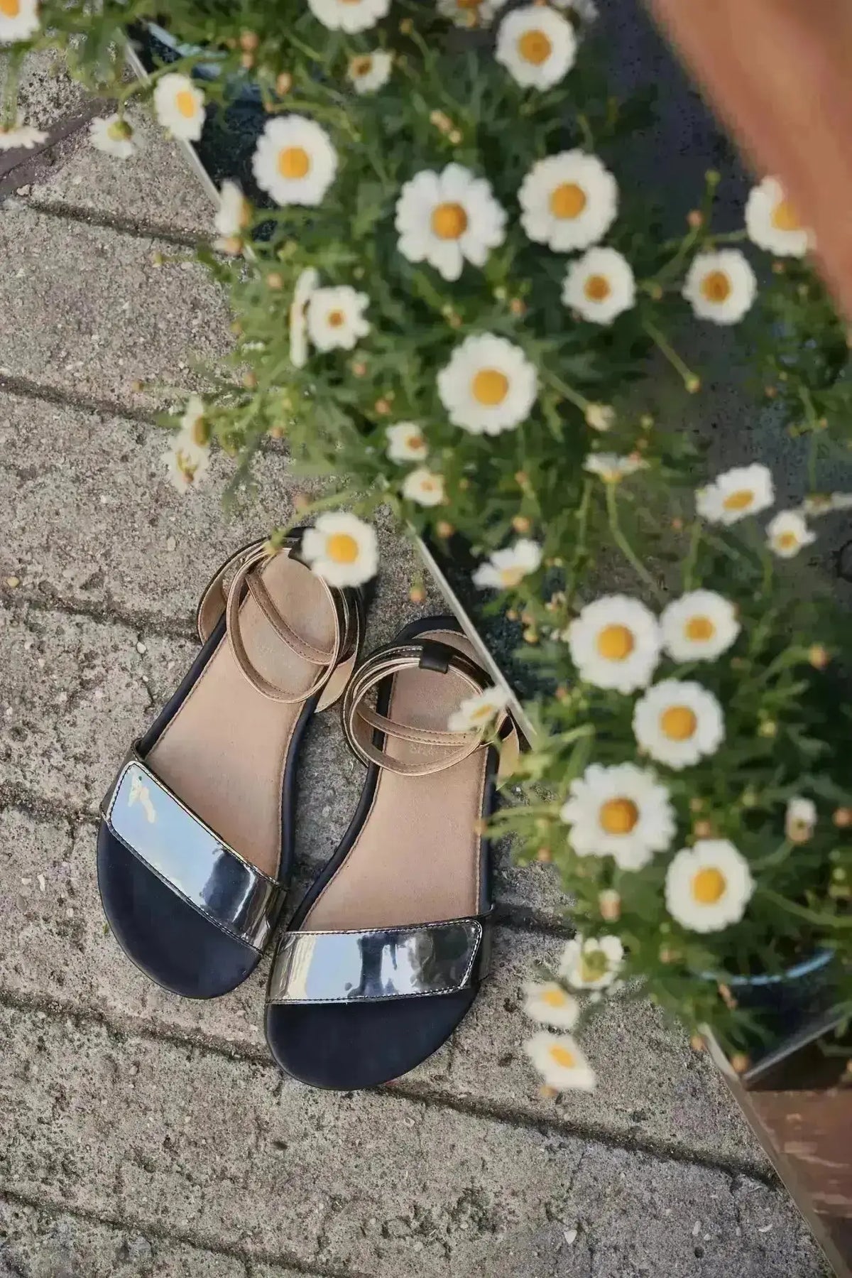 Shapen - Daisy 2.0 Black - Sandalias barefoot negras para mujer