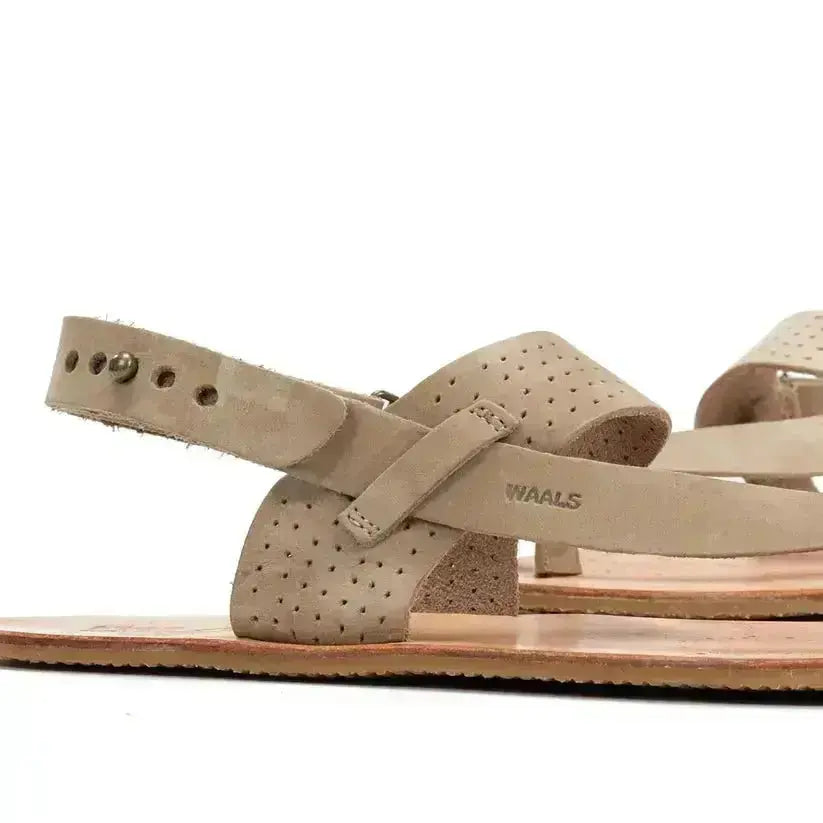 WAALS - Masai II Taupe - Sandalias barefoot hombre