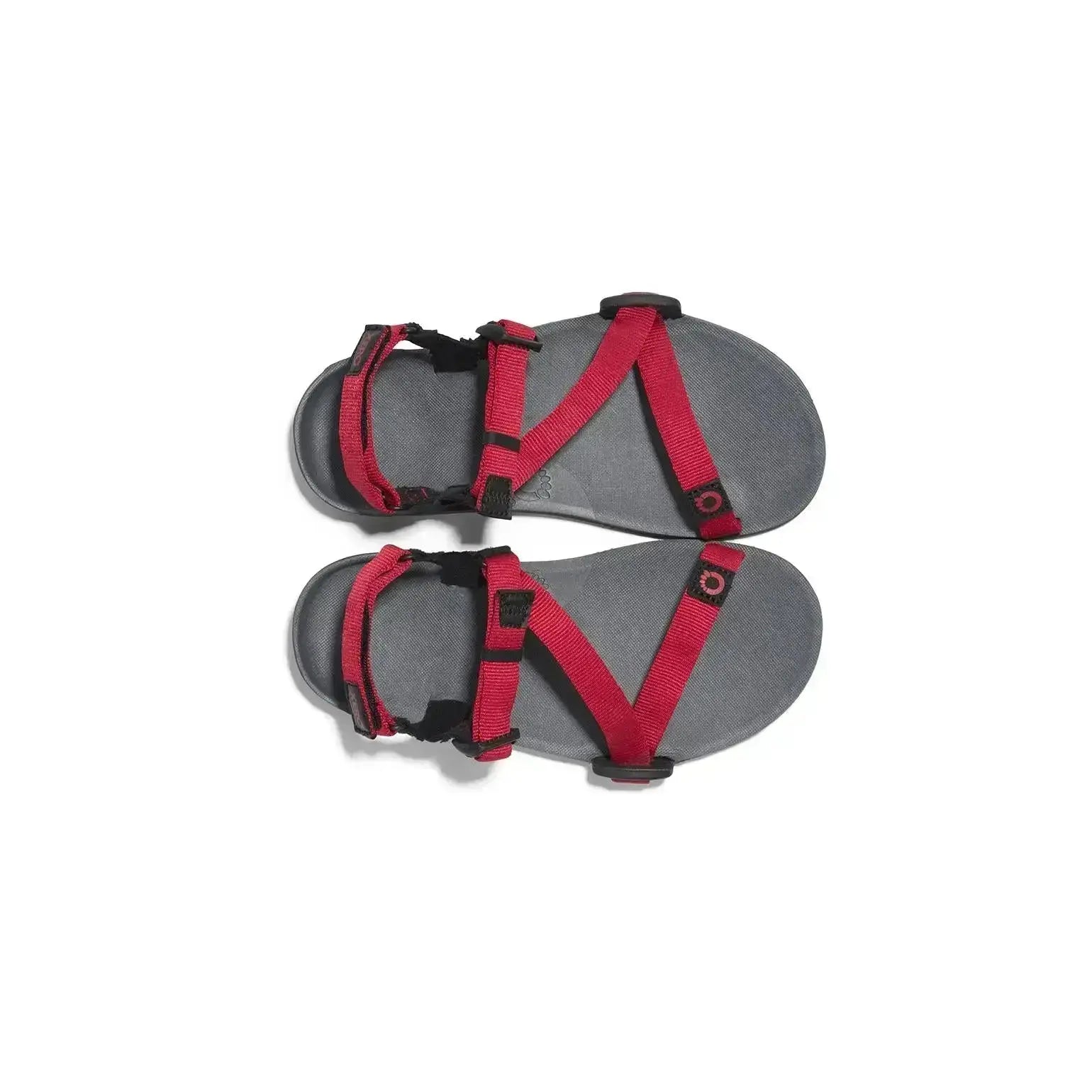 Xero Shoes - Z-Trail - Big Kids charcoal-red-pepper - Sandalias Barefoot para Trail, Hiking y Recuperación rojas para niños