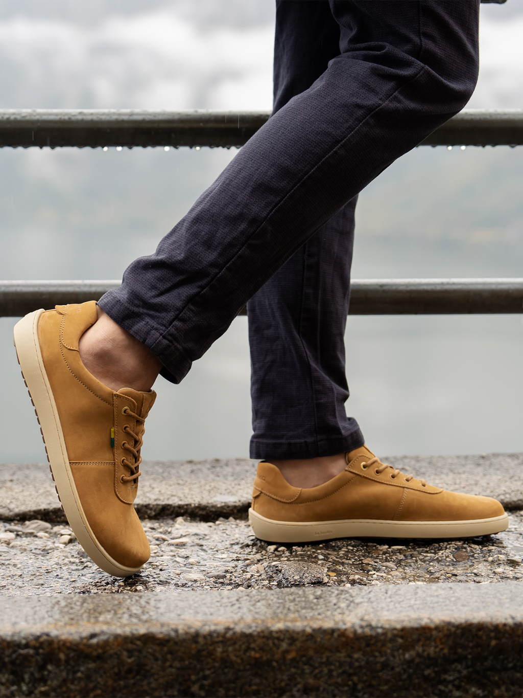 Barefoot zapatillas Be Lenka Phoenix - Camel Brown