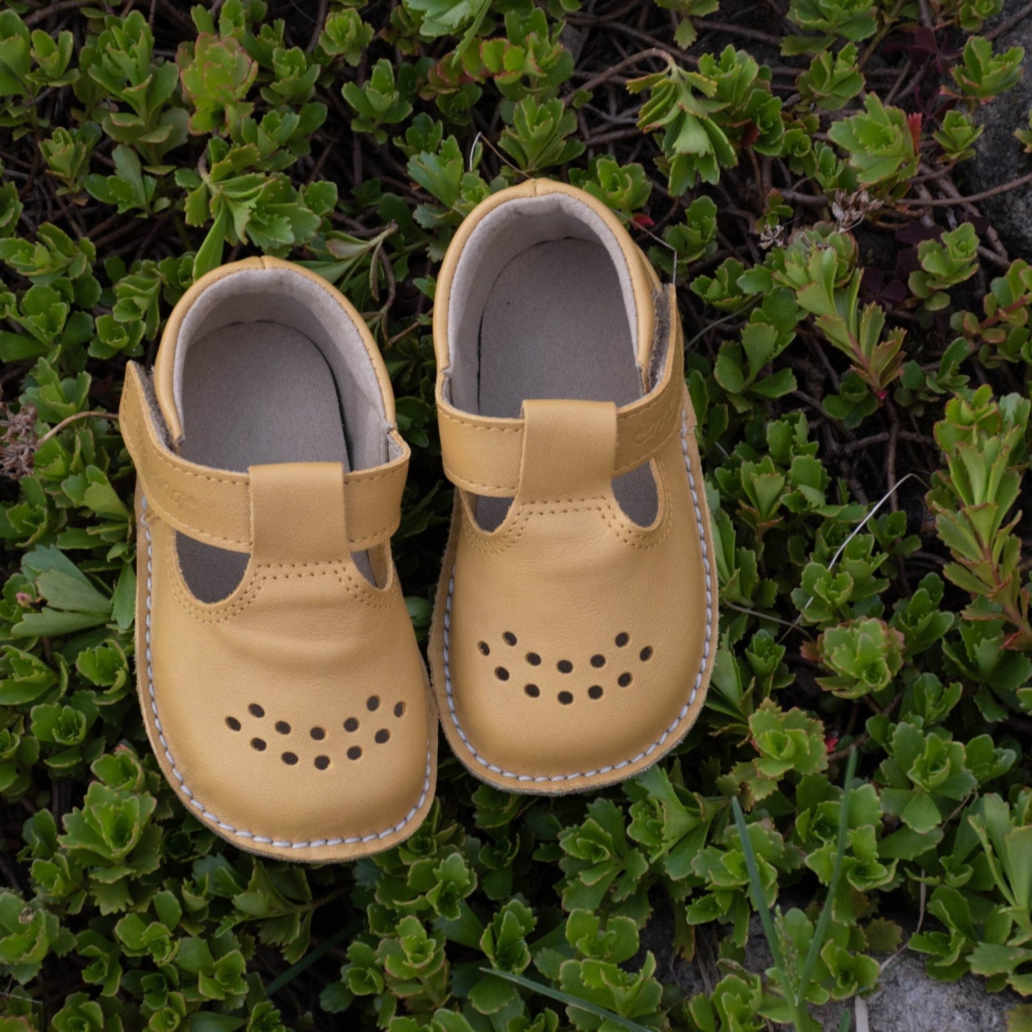 OmaKing - Lusti Yellow - zapatitos barefoot infantiles - Cacles Barefoot