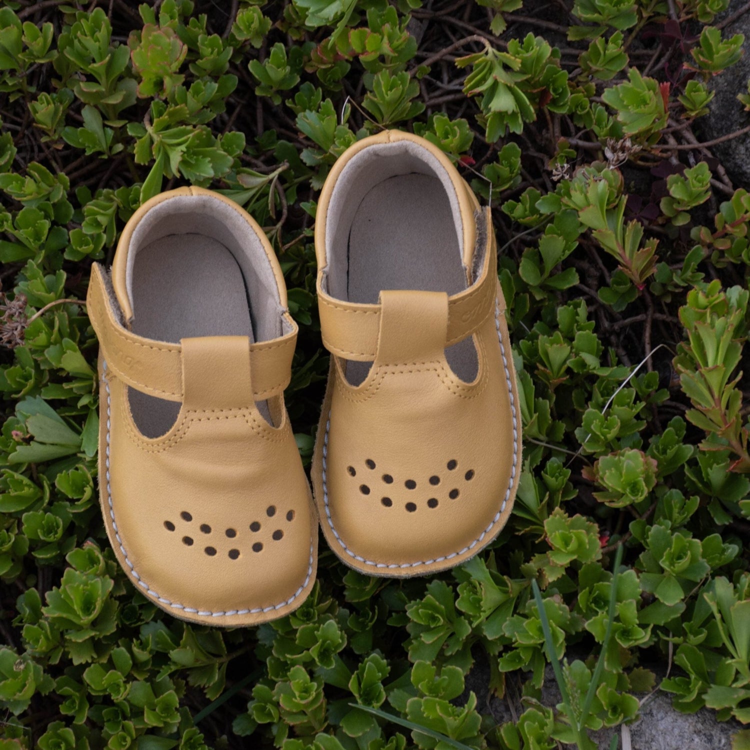 OmaKing - Lusti Yellow - zapatitos barefoot infantiles - Cacles Barefoot