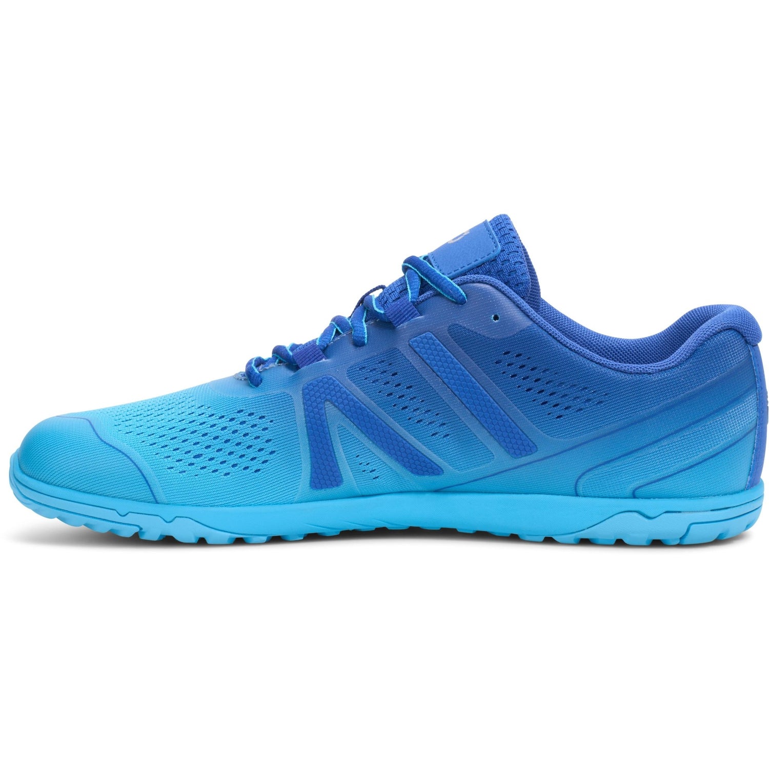 Xero Shoes - HFS II - Men blue-iolite-aquarius-gradient - Zapatillas barefoot para running